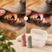 FELLORA Finger-Zahnbürsten-Set – Vorher-Nachher-Darstellung